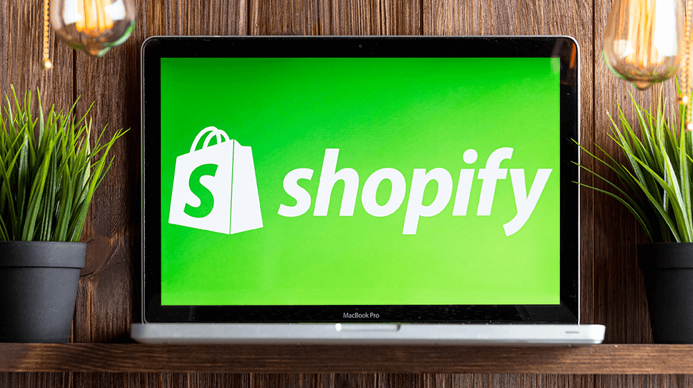 shopify business